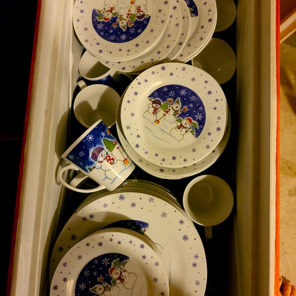 Winter Christmas dishes. Set of 20